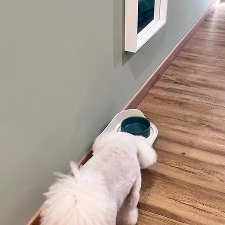 Notte Ai Colli - & Kitchen 4*