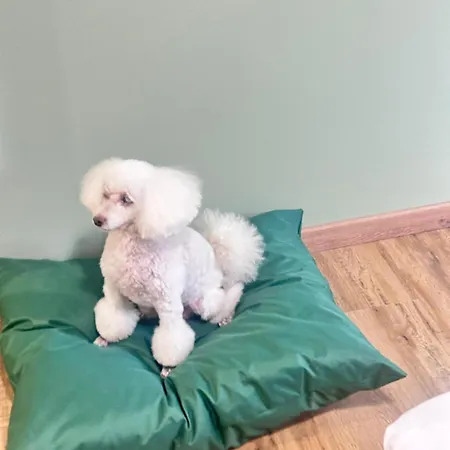 Notte Ai Colli - & Kitchen 4* Róma