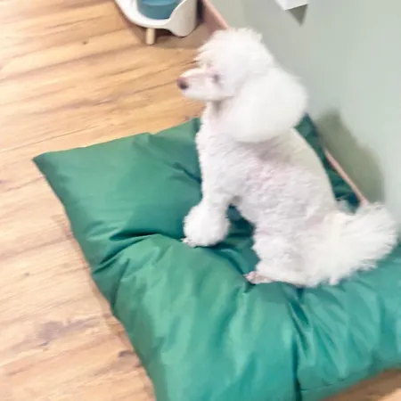 Vendégház Notte Ai Colli - & Kitchen Róma