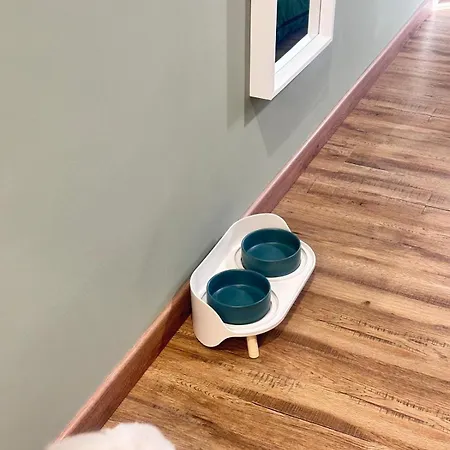 Notte Ai Colli - & Kitchen Vendégház