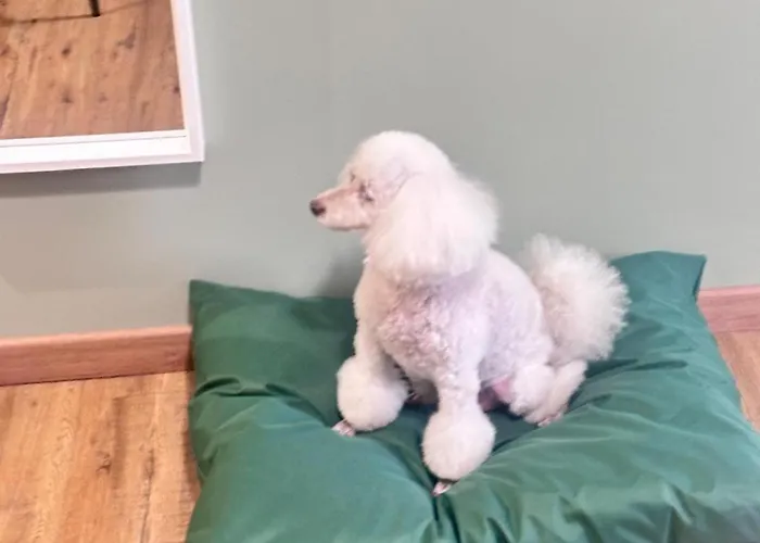 بيت ضيافة Notte Ai Colli - & Kitchen