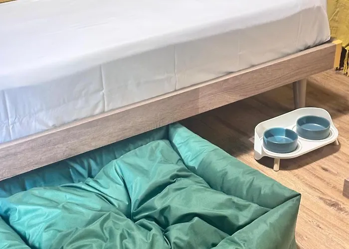 Notte Ai Colli - & Kitchen 4*