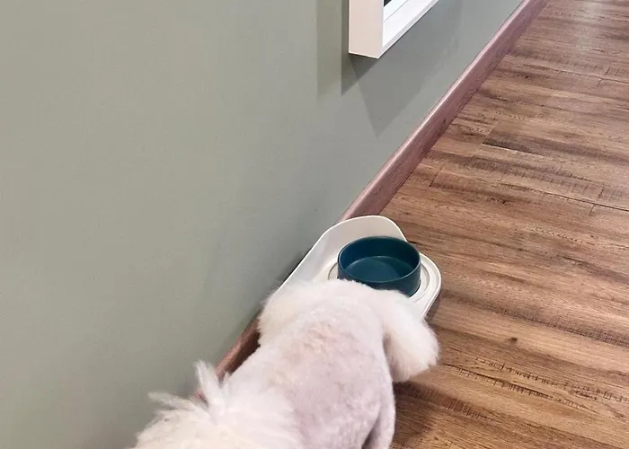 Notte Ai Colli - & Kitchen 4*