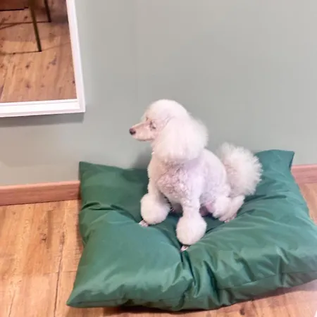 Pensionat Notte Ai Colli - & Kitchen